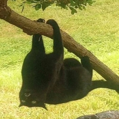 gmachine@mefi.social