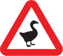 :goose_warning: