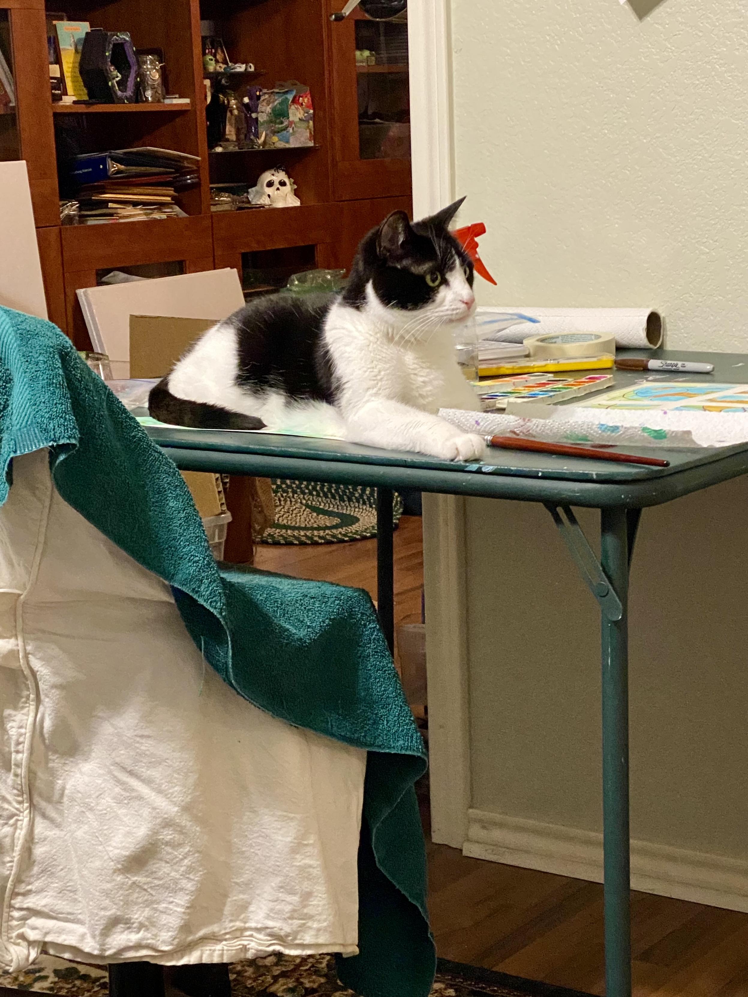 A folding table is open against a wall and another area. The background is a messy set of bookcases, ignore them and pretend they are dusted, organized and filled with treasures. 
Upon the table are watercolors, brushes, and two wet paintings, one of which is completely covered by the other studio cat Purrsephone. While Athena is best known for her work in deconstruction, Purrsephone has an improv, always say “yes and” approach, and believes in adding her own personal touch. In the future, my work will be authenticated by cat hair.